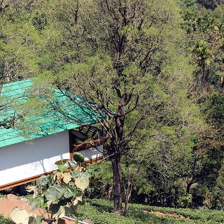 ホテルVythiri Hills エクステリア 写真